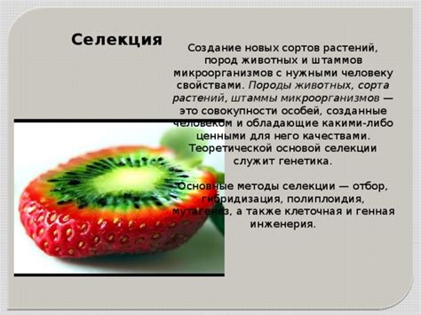 Селекция особей
