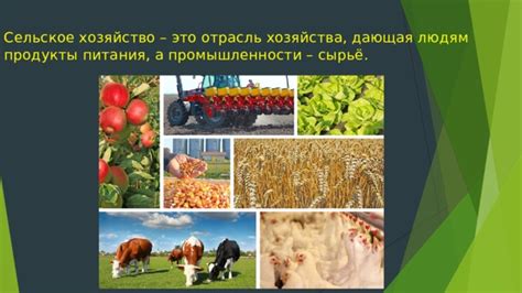 Сельское хозяйство и продукты питания