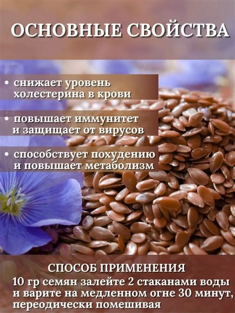 Семена льна и их полезные свойства
