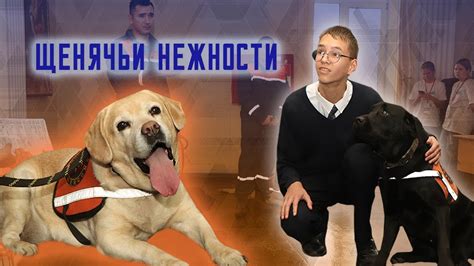 Семья: путь к будущему