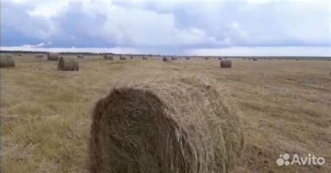 Сено высокого качества