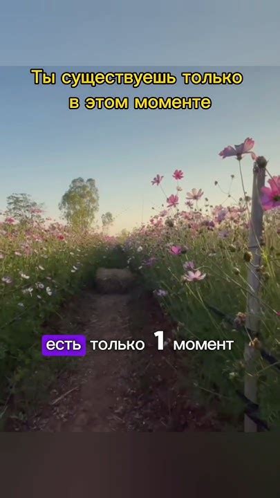 Сигнал о важности момента