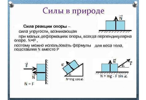 Сила реакции опоры: её сила