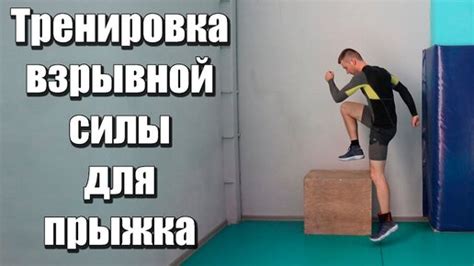 Силовая тренировка для увеличения силы прыжка