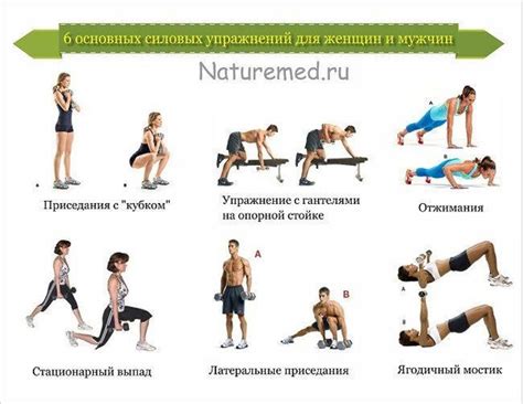 Силовые упражнения для начинающих