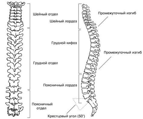 Символическое значение столба