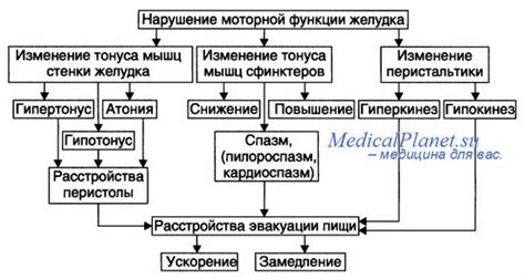 Симптомы рвоты и причины ее возникновения