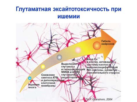Симптомы чувствительности к глутамату