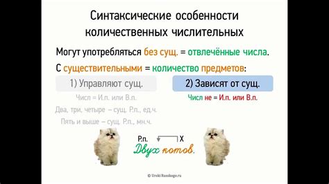 Синтаксические особенности употребления слова "значит"