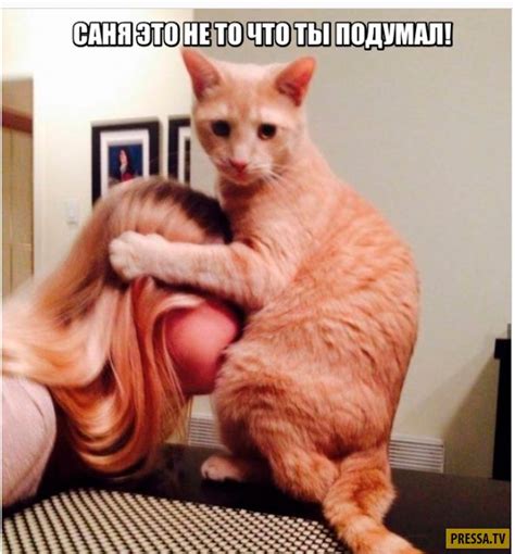 Скачайте смешные картинки и гифки