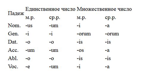 Склонение прилагательных в латыни
