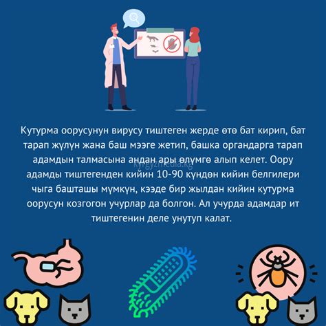 Скумбриядагы омега-3 жана үчүндүү кең-чан алдын алуу керексиз