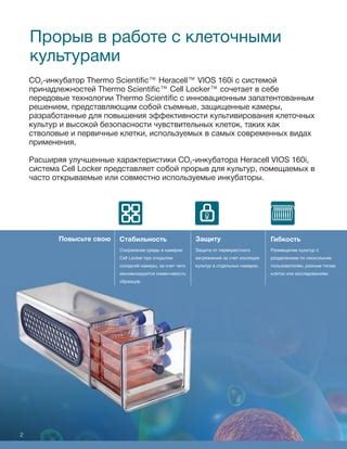 Следите за влажностью при открытии инкубатора