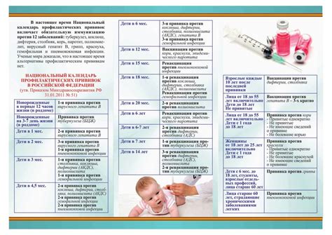 Следование рекомендациям ветеринара после прививки