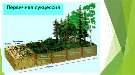 Смена природных зон и ее последствия для человека
