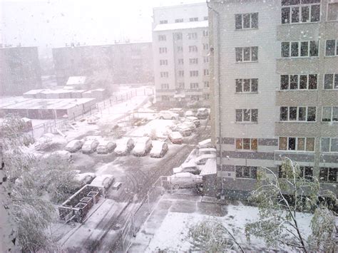 Снег в городе и глобальное потепление