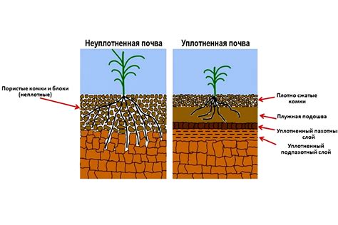 Снег и влияние на почву