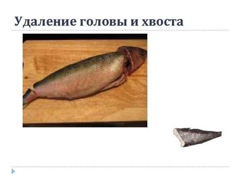 Снятие головы и хвоста