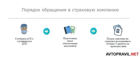 Соберите доказательства и необходимые документы для обращения в страховую компанию