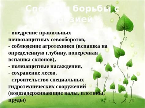 Соблюдение правильной агротехники: важное условие для борьбы с пейрингом