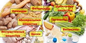 Советы для определения пищевой ценности продукта