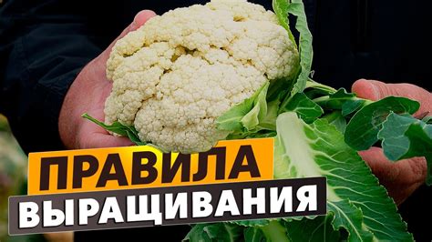 Советы для успешного реэкспорта товара