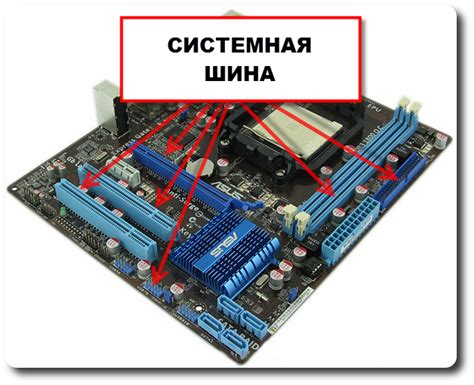 Советы и инструкции: как определить системную шину компьютера