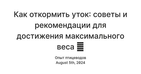Советы и рекомендации для достижения максимального реализма