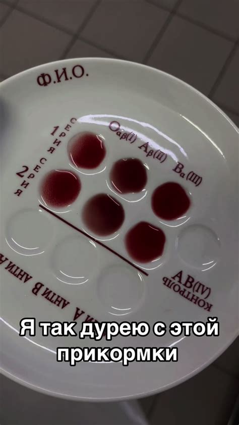 Советы и рекомендации для успешного подключения
