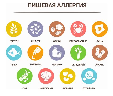 Советы и рекомендации по укреплению липидов для оптимального состояния