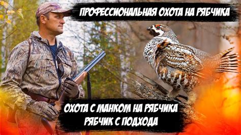 Советы и трюки для более успешной охоты