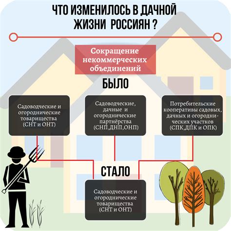 Советы по выбору СНТ