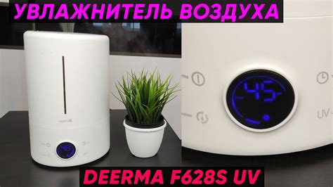 Советы по выбору и использованию увлажнителя воздуха