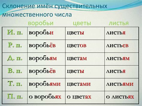 Советы по выбору местоимений во множественном числе