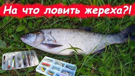 Советы по выбору снастей