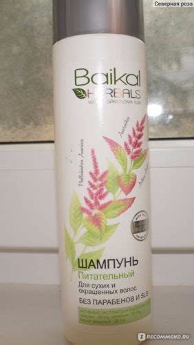 Советы по выбору шампуня