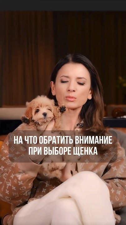 Советы по выбору щенка