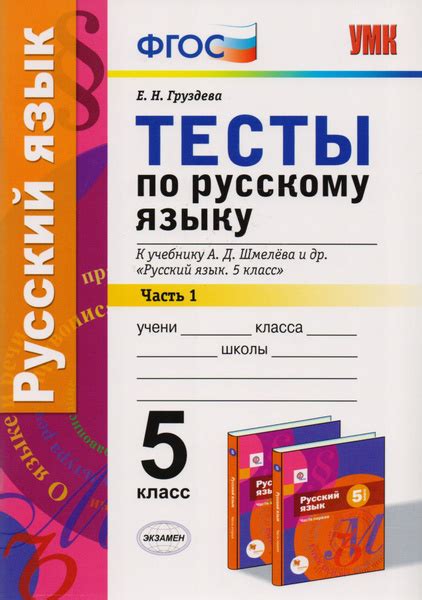 Советы по использованию ГДЗ по русскому языку 6 класс Шмелева