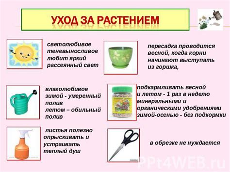 Советы по использованию и уходу за МПК