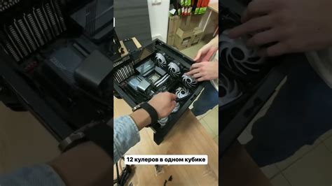 Советы по определению присутствия гангстеров в районе