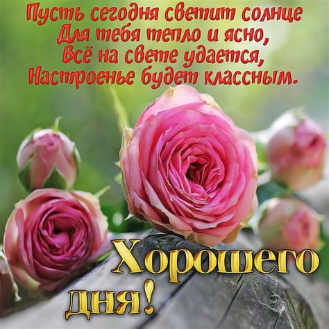 Советы по отвечанию на пожелание "хорошего дня"