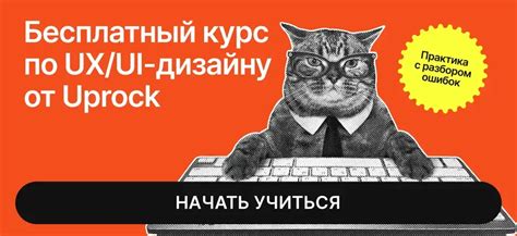Советы по сохранению мокапов на внешних носителях