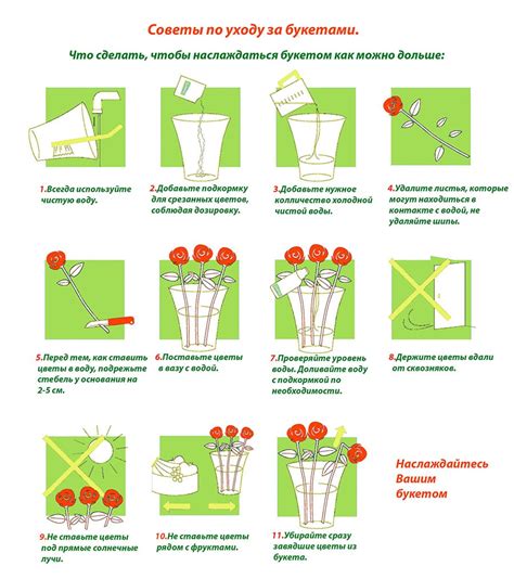 Советы по уходу за букетом с бохберри