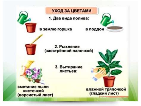 Советы по уходу за домиком