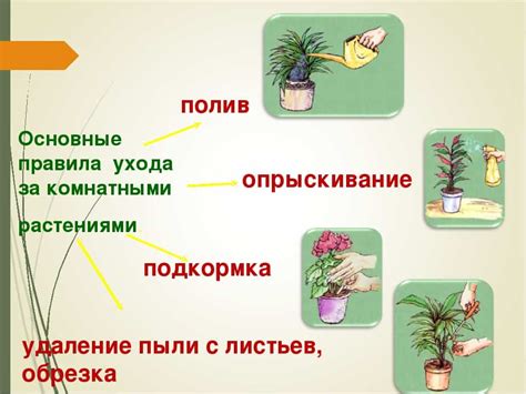 Советы по уходу за оснасткой и приманками