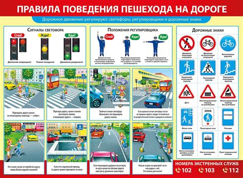 Советы эксперта по безопасности на дороге