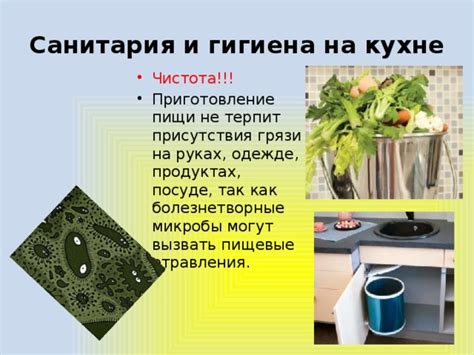 Совет №5: Чистота в аквариуме и посуде для аюев