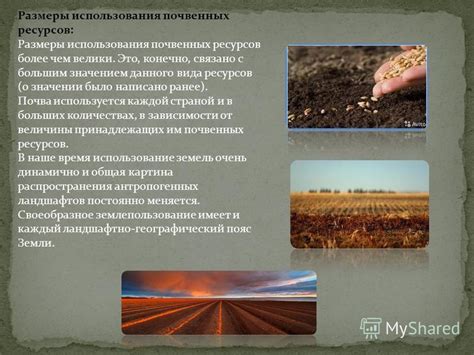 Современные методы восстановления почвенных ресурсов
