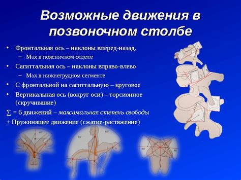 Соединение туловища с головой