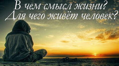 Создайте смысл в повседневной жизни